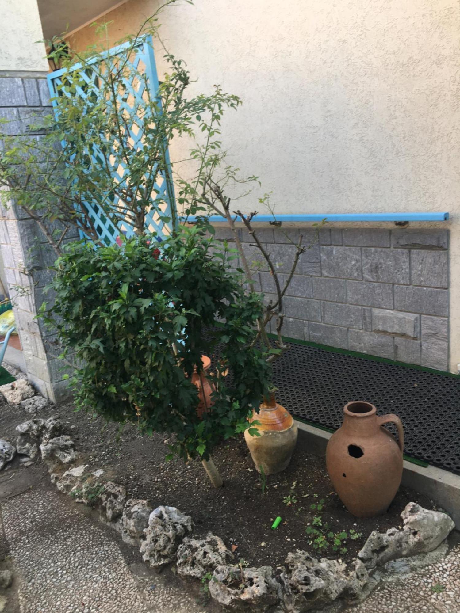 Appartamento Lerosedimiamamma Cassine Esterno foto